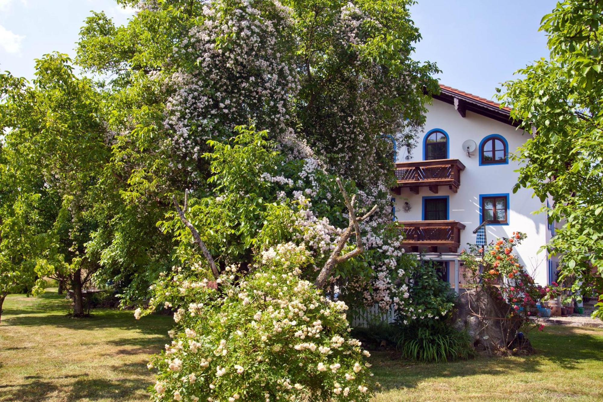 Ferienwohnung Moierhof Palling Dış mekan fotoğraf